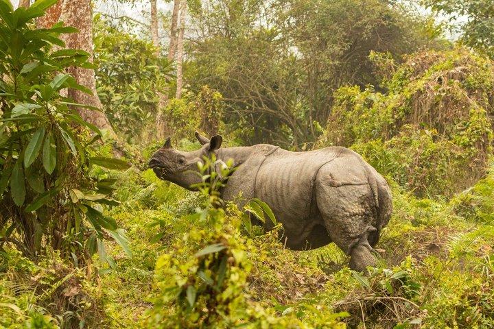 4 días Tanzania Big Five Budget Group Safari Experience