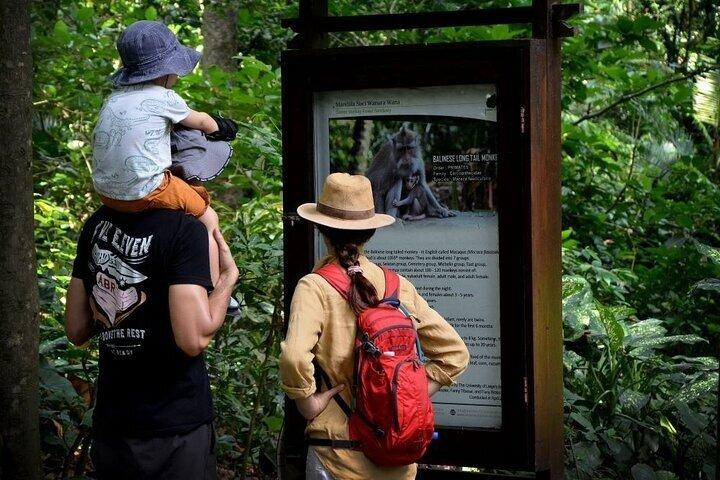 Blue Lagoon Snorkeling and Lunch - Ubud Monkey Forest - Waterfall