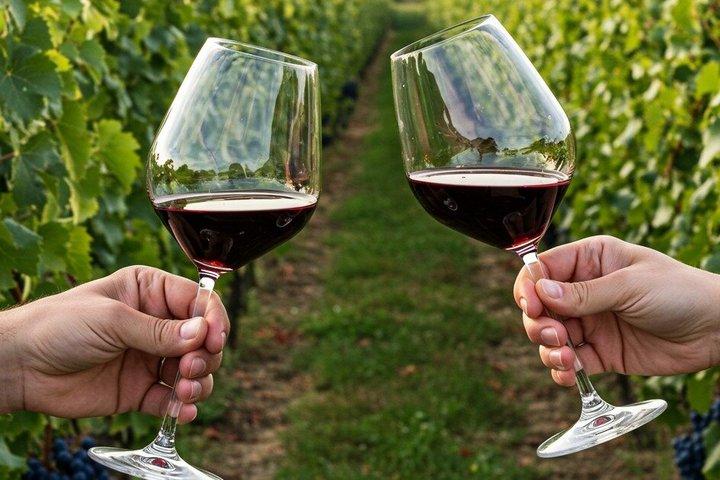 Valpolicella vinsmagningstur på Corte Archi