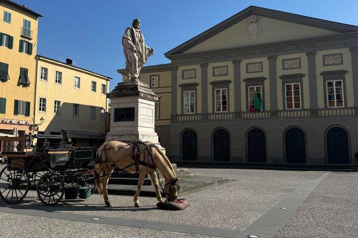 Passeio de charrete de 1 hora – Centro Histórico e Muralhas Renascentistas
