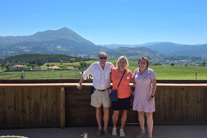 Privéwijnervaring in Rota do Vinho Verde met lunch