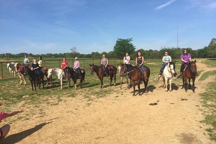 30 minuten paardrijden Trail Ride in Memphis
