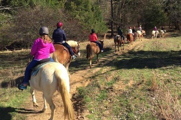 30 minuten paardrijden Trail Ride in Memphis