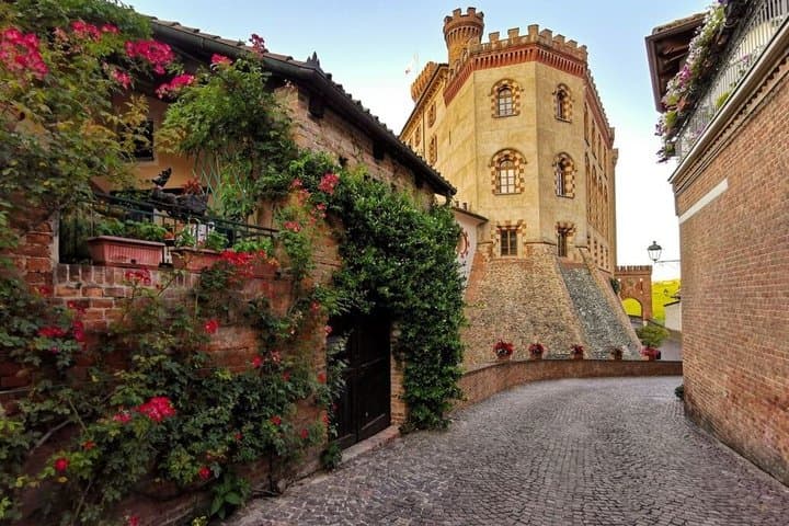 From Milan: Barolo Vineyards & UNESCO Wine Cellar Experience
