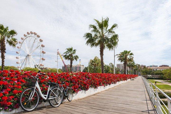Valencia: Guidad cykeltur i stadens höjdpunkter.