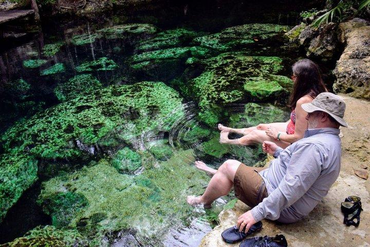 Die besten Cenotes in Playa del Carmen Private Tour