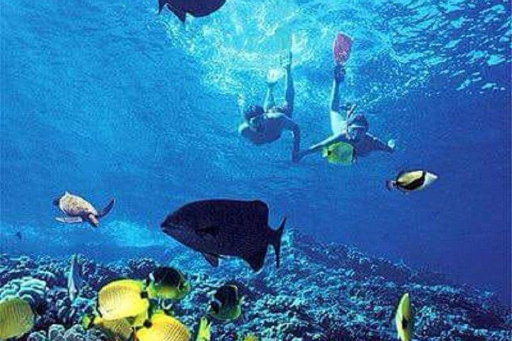 Festa in catamarano a Sosúa: snorkeling, barbecue e open bar.