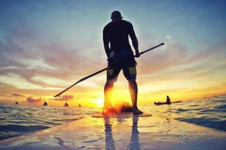 Noleggio Paddle Board a Anna Maria Island