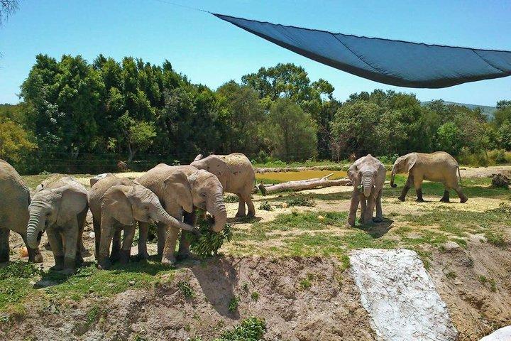 Africam Safari privévoertuig