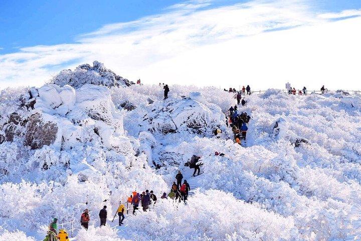 Muju Deogyusan Escursioni sulla neve e tour sugli sci da Busan