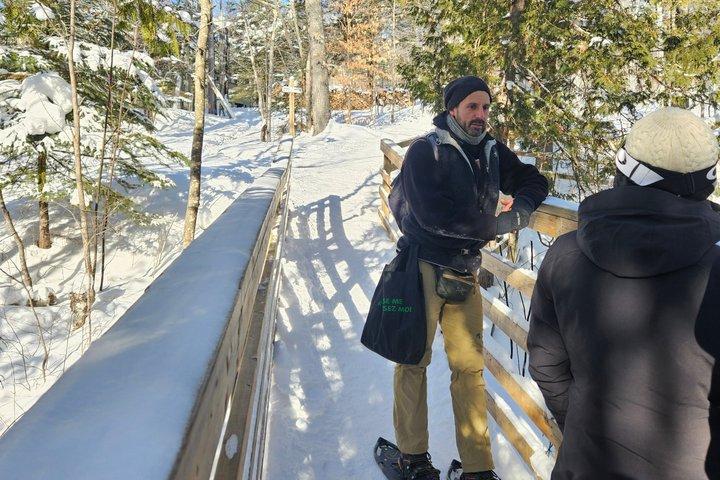 Fire Man Guided Snow Shoe Tour em Mont-Tremblant