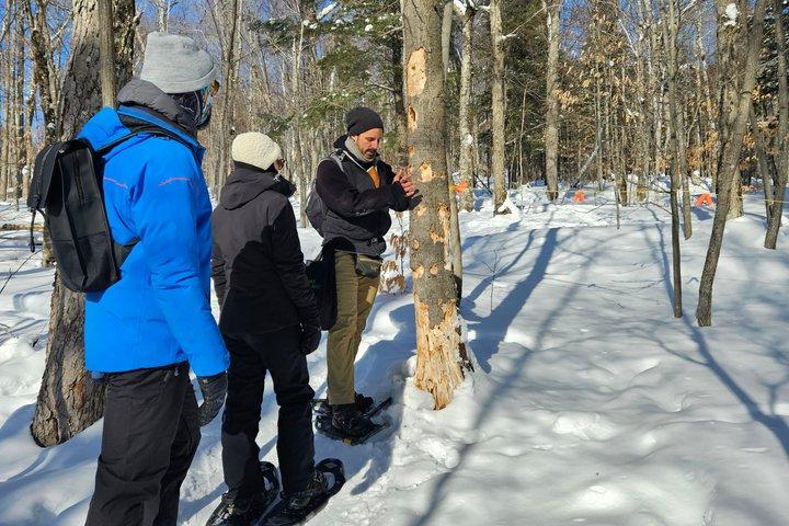 Fire Man Guided Snow Shoe Tour em Mont-Tremblant