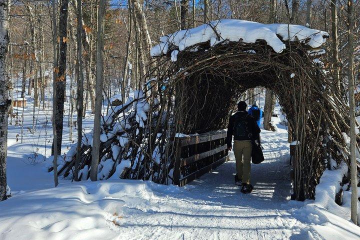 Fire Man Guided Snow Shoe Tour em Mont-Tremblant