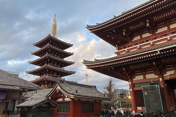 Tokyo Full Day Sightseeing Private City Tour with English Guide