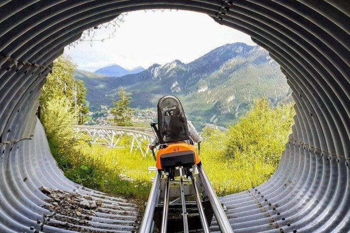 München : Neuschwanstein by Bus inc. Oberammergau OR Alpine Coaster