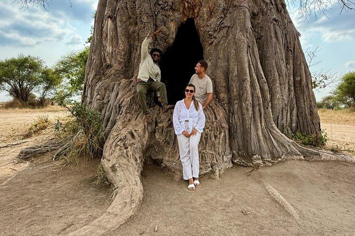 5 - Day Private Luxury Ndutu Kalvningssäsong – Gnumigration