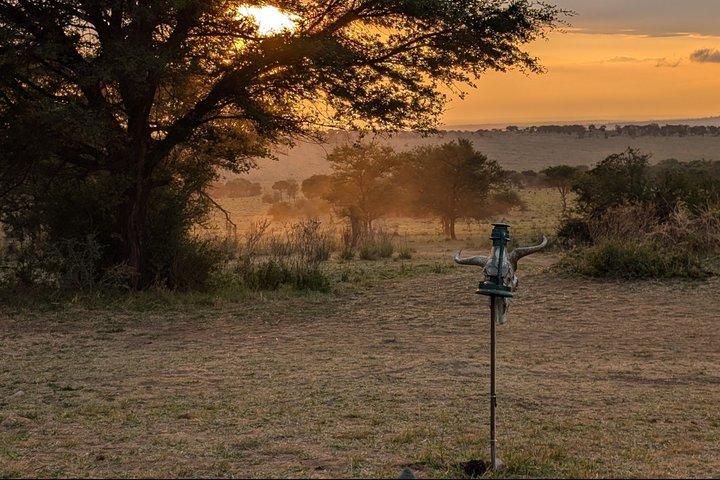 5 - Day Private Luxury Ndutu Kalvningssäsong – Gnumigration