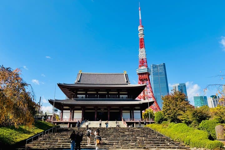 Tokyo Private Custom Tour: Highlights & Hidden Gems