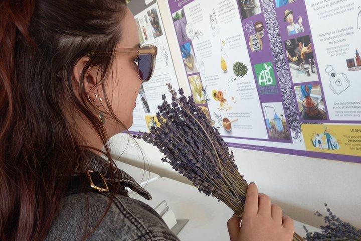 Lavendel & Bortom Halvdagstur från Avignon