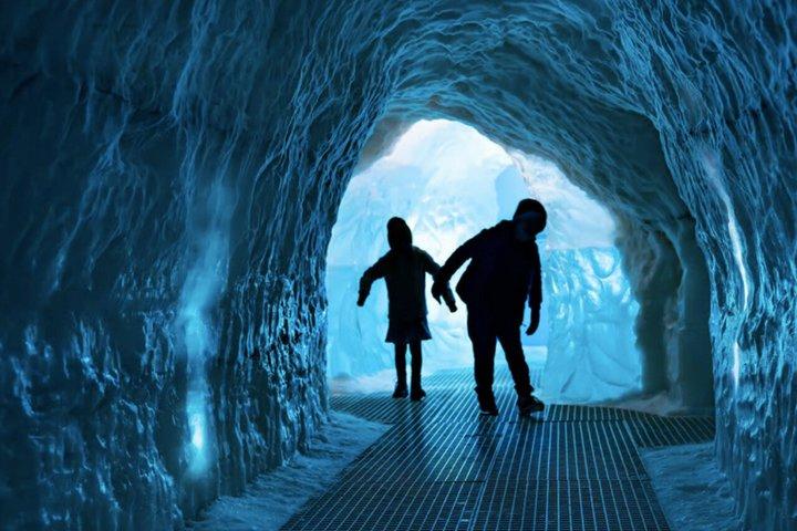 Visite privée de la ville de Reykjavik : Perlan, Arbaer et City