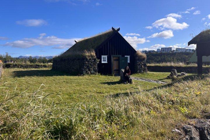 Visite privée de la ville de Reykjavik : Perlan, Arbaer et City