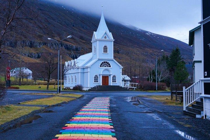 Visite privée de la ville de Reykjavik : Perlan, Arbaer et City