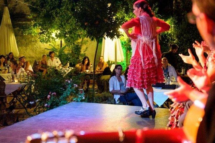 Tour dell'Albaicín e del Sacromonte con spettacolo di flamenco.
