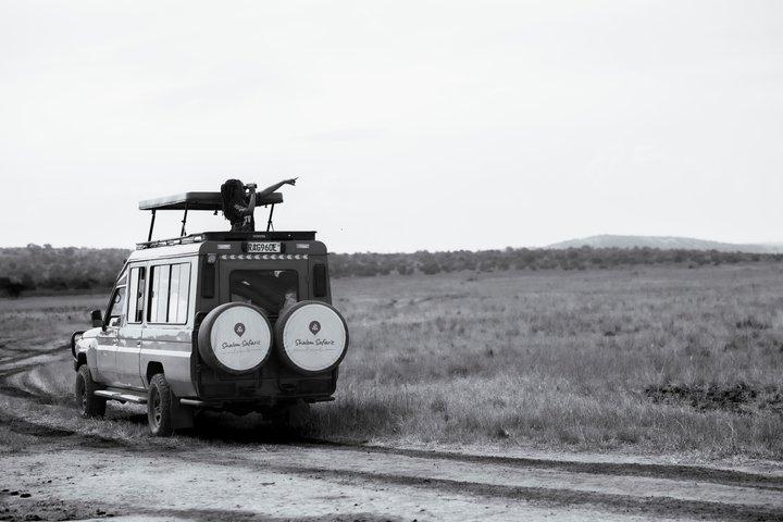 3 jours d'expérience de safari dans le parc national Akagera
