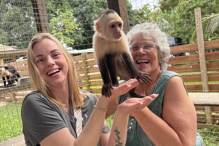 Sloths, Scimmie JungleZipline Avventura in crociera a Roatán