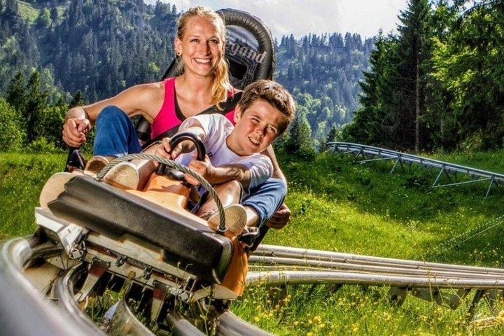 München : Neuschwanstein by Bus inc. Oberammergau OR Alpine Coaster