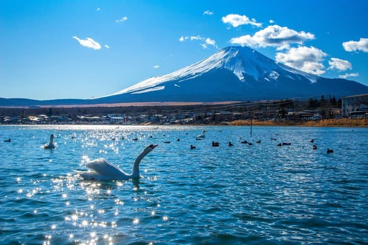 Mt. Fuji Highlight Photo Spots One Day Tour from Tokyo