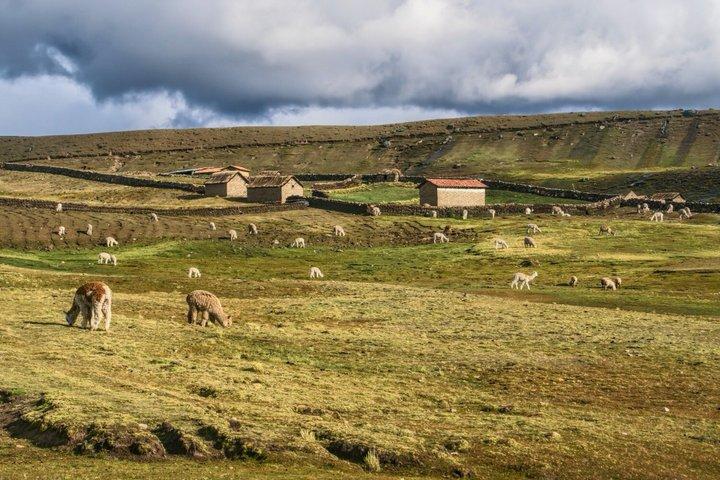 Cusco : Ausangate Mountain ATV Adventure met ontbijt en lunch
