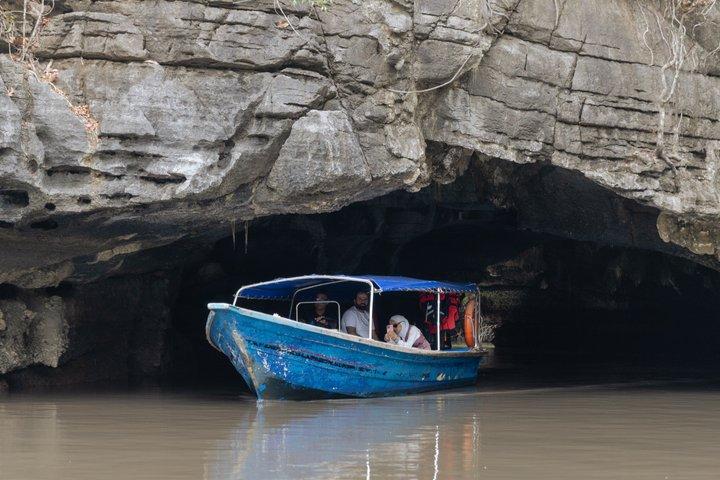 Langkawi: Kilim Mangrove Boat Tour 3H Shared