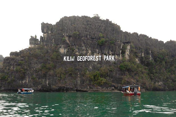 Langkawi: Kilim Mangrove Boat Tour 3H Shared
