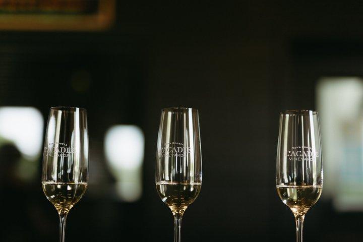 Nova Scotia Wine Tour Spændende vine og lokale bid
