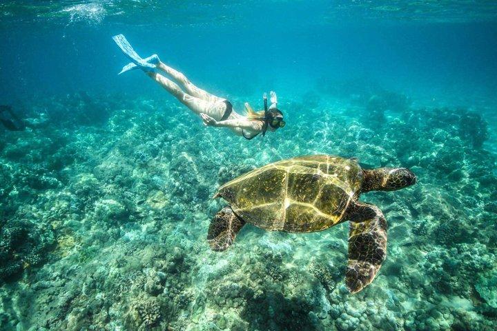 ケリ洞窟とタートル島へのザキントスグラスボトムボートツアー