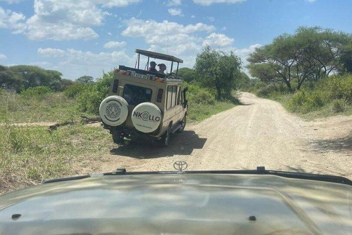 5 - Día Tarangire, Serengeti 2Noches, Ngorongoro y Manyara Gama media