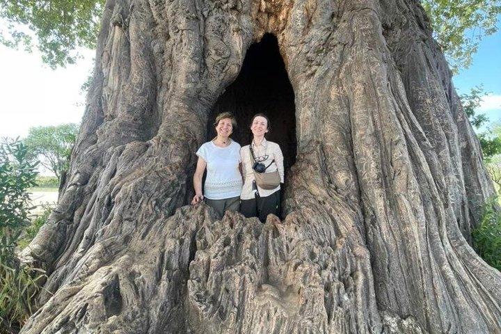 5 - Día Tarangire, Serengeti 2Noches, Ngorongoro y Manyara Gama media