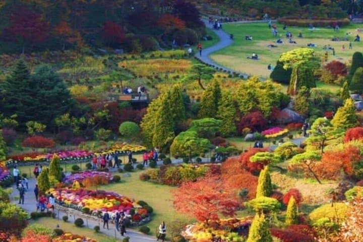 Seoraksan, Nami Island & Morning Calm Garden Day Tour from Seoul