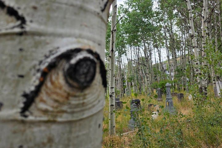 Guided Urban Art and Historical E-Bike Tour in Park City