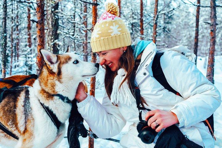 Rovaniemi : Husky- & Rentierfahrt mit Transfers