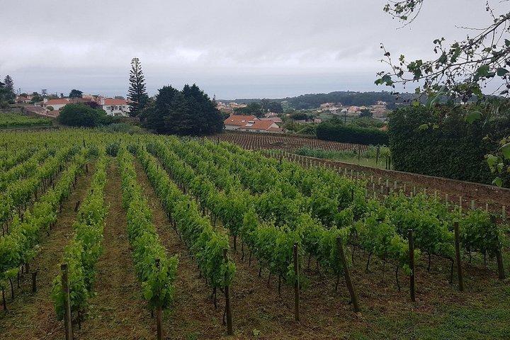 Cascais und Estoril Historische Wanderung + Ebook