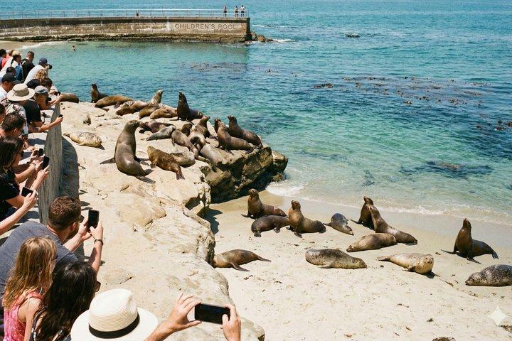 Entdecken Sie San Diego : Selbstgeführte Wanderung