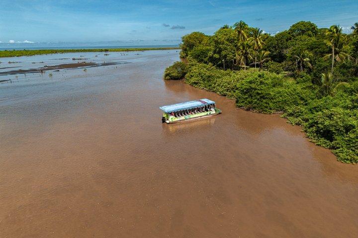 Adventure in the jungle river and crocodiles