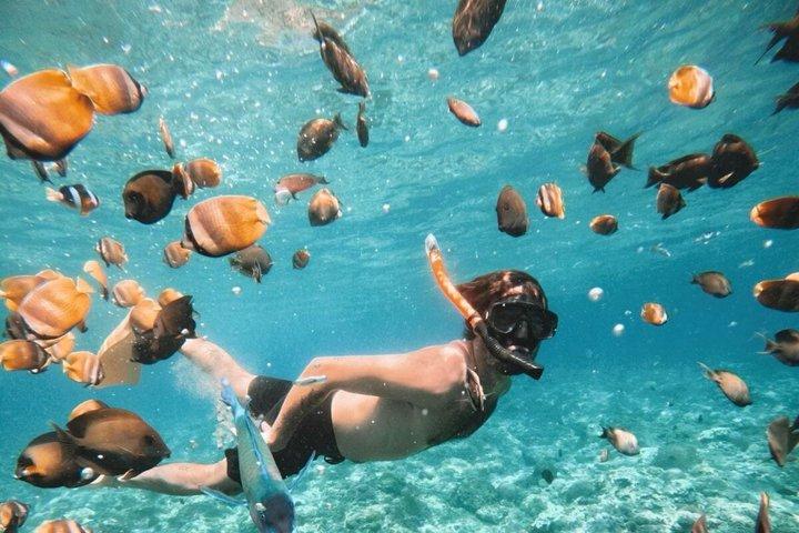 All-Inclusive Bali Snorkeling Tour at Blue Lagoon