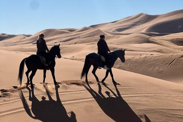 Merzouga Equitação no Deserto do Saara
