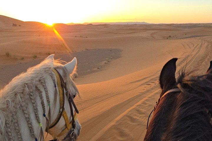 Merzouga Equitação no Deserto do Saara