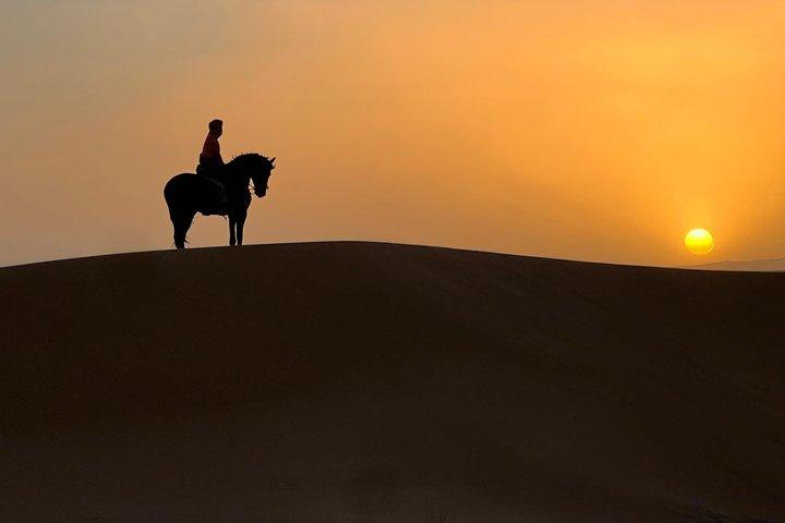 Merzouga Equitação no Deserto do Saara