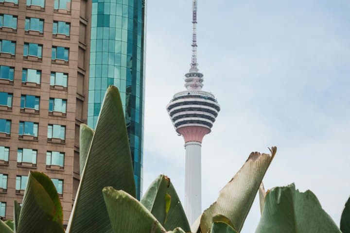 Cruise Shore Excursions: Port Klang