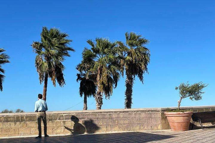 Bari: Private or Group 2-Hour Walking Tour